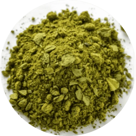 Green Tea Extract